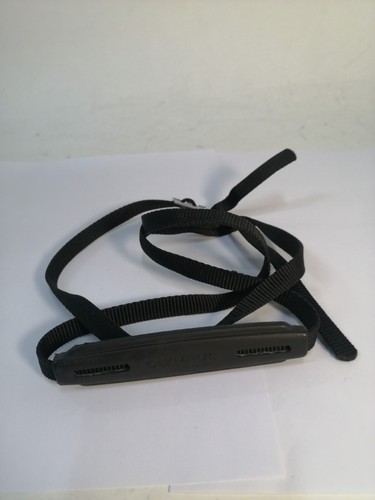 Olympus camera strap carrying